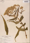 000001615-thumbnail.jpg