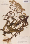 000001619-thumbnail.jpg