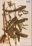 000001620-thumbnail.jpg