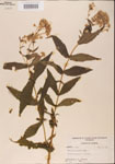 000001622-thumbnail.jpg