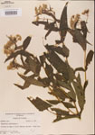 000001623-thumbnail.jpg