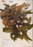 000001624-thumbnail.jpg