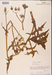 000001626-thumbnail.jpg