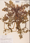 000001627-thumbnail.jpg