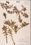 000001628-thumbnail.jpg