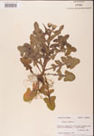 000001630-thumbnail.jpg