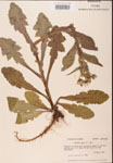 000001633-thumbnail.jpg