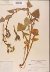 000001634-thumbnail.jpg
