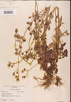 000001635-thumbnail.jpg