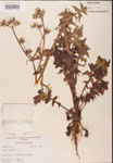 000001638-thumbnail.jpg
