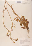 000001639-thumbnail.jpg