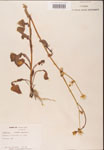 000001640-thumbnail.jpg