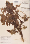 000001642-thumbnail.jpg
