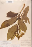 000001759-thumbnail.jpg