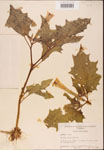 000001793-thumbnail.jpg