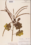 000001801-thumbnail.jpg