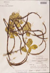 000001815-thumbnail.jpg