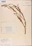 000001819-thumbnail.jpg