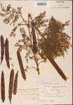 000001820-thumbnail.jpg