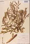 000001822-thumbnail.jpg