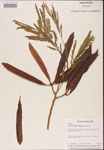 000001823-thumbnail.jpg