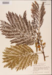 000001825-thumbnail.jpg