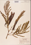 000001826-thumbnail.jpg