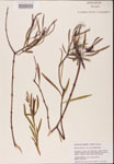 000001828-thumbnail.jpg