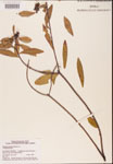 000001829-thumbnail.jpg