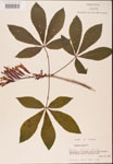 000001837-thumbnail.jpg