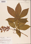 000001839-thumbnail.jpg