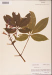 000001840-thumbnail.jpg