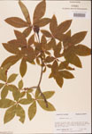 000001841-thumbnail.jpg
