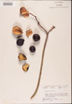 000001842-thumbnail.jpg