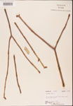 000001844-thumbnail.jpg