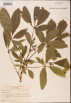 000001847-thumbnail.jpg