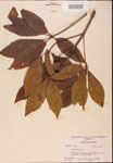 000001848-thumbnail.jpg