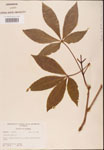 000001853-thumbnail.jpg