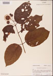 000001886-thumbnail.jpg