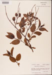 000001888-thumbnail.jpg