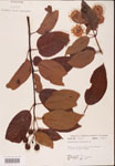 000001907-thumbnail.jpg
