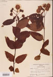 000001924-thumbnail.jpg