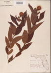 000001926-thumbnail.jpg