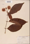 000001927-thumbnail.jpg