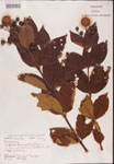 000001932-thumbnail.jpg