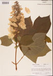 000001934-thumbnail.jpg