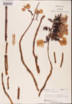 000001940-thumbnail.jpg