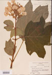 000001946-thumbnail.jpg
