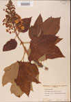 000001948-thumbnail.jpg