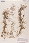 000001959-thumbnail.jpg